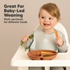 KeaBabies Suction Plates with Lids for Baby, 3pk 100% Silicone
