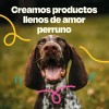 Dogelthy Gastro Aid Probioticos Para Perros 135g Sabor Cerdo