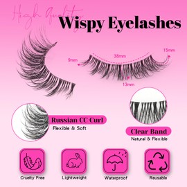 Veleasha Cat Eye Lashes Wispy False Eyelashes with Clear Band Natural Look Eyelashes Looks Like Lash Extensions CC Curl Soft Fake Lashes Strips Lashes 10 Pairs Pack (Everyday Essentials)