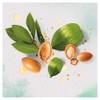 Herbal Essences Pure - Repair Shampoo with Moroccan Argan Oil,