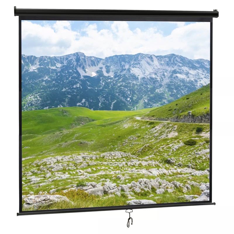 Segawe 120'' Projector Screen Projection Screen Manual Pull Down HD