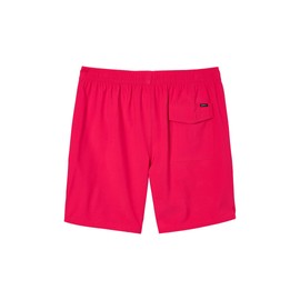 Mens Solid Volley Swim, Fuchsia, M