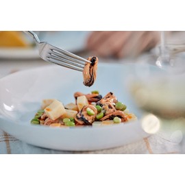 Matiz España Mussels in Extra Virgin Olive Oil & Apple Cider Vinegar | 3.92 oz. - 12 Pack | Handcrafted in Galicia, Spain | Sustainably Cultivated Mussels with Spices |