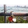 Family Lock Love Lock Heart Large + Small in Red,