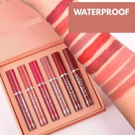 Labiales Mate Liquido Larga Duración A Prueba De Agua                                                                                                 