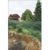 Oasis 53752 Aquanet Teichnetz 2, ideal protection of ponds before