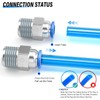 TAILONZ PNEUMATIC Male Straight 1/4 Inch Tube OD x 1/8