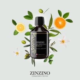 ZinZino BalanceOil+ Premium Fischöl mit Omega-3 2478 mg, Omega-9, Vitamin D3, Tocopherol, DHA, EPA mit Olivenöl, 300 ml