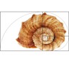 Golden Ratio, Fibonacci & Rule of Thirds Composition Tool Credit