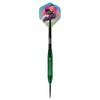 Bull's Ricky Evans Shell Coated Green Brass Steel Tip Darts
