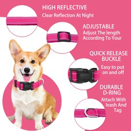 Maiiu Reflective Dog Collar with Safety Locking Buckle, Adjustable Soft Breathable Nylon Collars for Small, Medium and Large Dogs(Collar+Leash S Width 3/4" Hotpink)