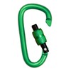 Carabiner with screw cap