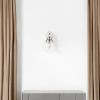 Homeroots One Light Silver Wall Sconce with Round Glass Shade