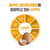 Vinergy Salmushi Eggshell Membrane Plus Contains Gujeolcho Boswellia Hyssul, 60