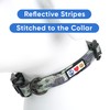 Pawtitas Reflective Dog Collar Adjustable Dog Collars for Small Dogs