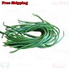 Treevale DARK GREEN Yardlong Bean, Asparagus Bean, Snake Bean, Chinese