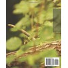  Hedgehog Care Guide with Expert Tips: Comprehensive Guide to