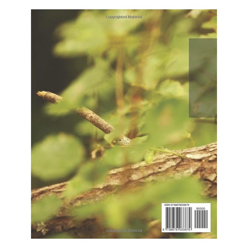  Hedgehog Care Guide with Expert Tips: Comprehensive Guide to