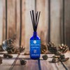 Sandalwood Reed Diffuser Set, 3.4 Oz Diffuser, 6 Reed Diffuser