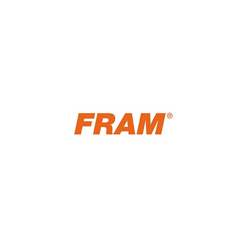 Fram CA10615 Air Filter