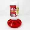 Pecking order Chick Feeder