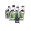 2015-2023 Kawasaki Versys 1000 KLZ1000 OEM Full Synthetic Oil Change