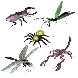 3D Metal Puzzles Model - DIY Mechanical Insect Assembly Kit for Adults,DIY Adults Assembly Brain Teaser Puzzle Suitable for Home Decor Art Craft Gifts Toys