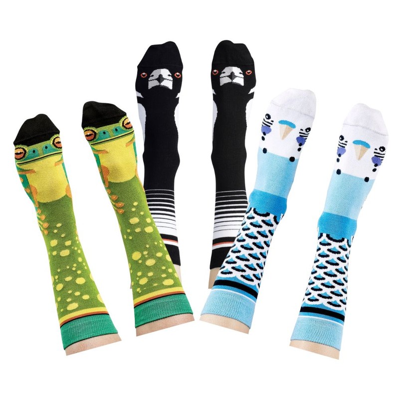 Wilson Payne Out On The Patio Bundle - Australian Made