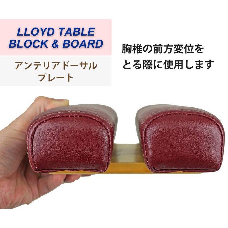 LLOYD (Lloyd) [Lloyd] Anteria Dorsal Plate is a plate used