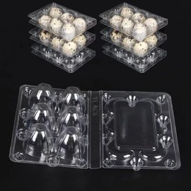 Pack of 50 Quail Egg Boxes, 6 Grid Quail Egg Boxes, Egg Boxes, Quail Plastic Quail Egg Boxes, Transparent Quail Egg Boxes, Egg Box for Quail Eggs
