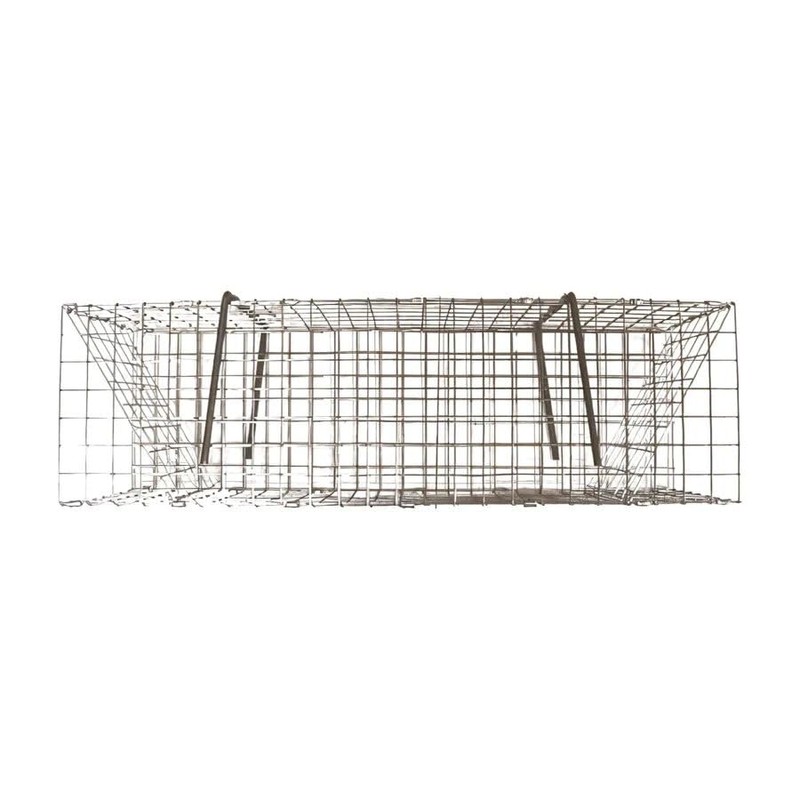 2 Folding Colony Muskrat Trap - 6" x 6" x