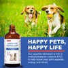 Cat Appetite Stimulant - Methylcobalamin B12 Liquid Supplement - Boost