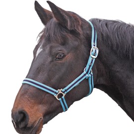 Shires Wessex Nylon Headcollar -Cambridge/Navy Pony