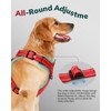 FAYOGOO Dog Harness, No-Pull Pet Harness Set for Small Medium