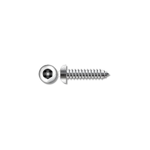 (200pcs) #14 X 1 Tamper-Resistant Tapping Screws AB Button Head