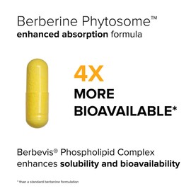 Berberine Berbevis Enhanced Absorption 550mg - Bioavailable Berberine Phytosome, Berberine Supplement for Metabolic Support & Heart Health, Gluten-Free, Non-GMO, 60 Vegetarian Capsules