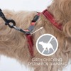 EZYDOG Crosscheck Training Harness - Anti Pull, Reflective, Adjustable Size