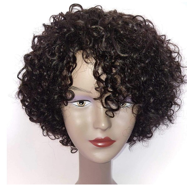 Morichy Short Curly Human Hair Wig 130% Density Human Hair Curly Wig Natural Color Human Hair Wigs for Black Women Afro Kinky Curly