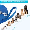 Dog Lead Puppy Pet Training Recall Walking Harness 5 Metre