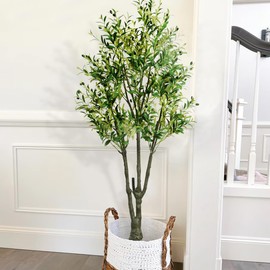 Faux Olive Tree 6 FT Tall Fake Plants, Olive Trees Artificial Indoor with Trunk and Lifelike Fruits for Home Office Decor