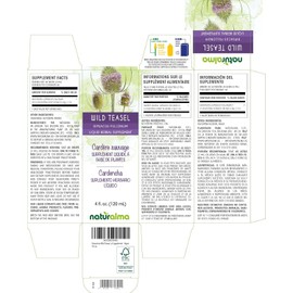 Naturalma Wild Teasel or Fuller's Teasel (Dipsacus fullonum or D. sylvestris) Root Alcohol-Free Tincture - 4 fl oz Liquid Extract in Drops - Herbal Supplement - Vegan