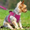 Joytale Small Dog Harness, Breathable Mesh Step-in Vest Harness, Reflective