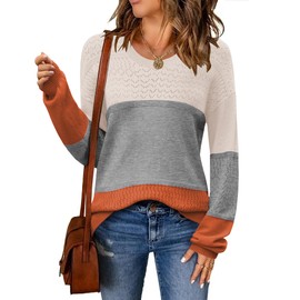 Zeagoo Sweaters for Women Long Sleeve Tops Soft Knit Crew Neck Pullover Sweater Colorblock Crochet 2025 Fall Outfits M