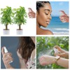 Xolaawa Small Spray Bottle, Clear Empty Mini Travel Plastic Bottle.