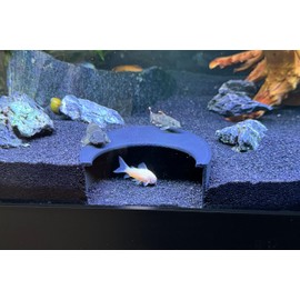 LifeWithPets Aquarium Underground Tunnel | Fish Cave | Fish Hide | Perfect for Corydoras. Plecos, Loaches, Cichilds, Betta Fish and More (Medium)