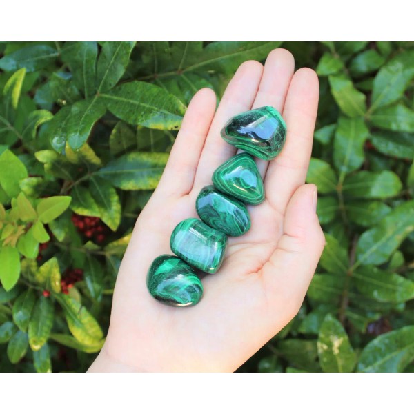 5 MEDIUM Malachite Tumbled Stone (Crystal Healing Reiki Gemstone Metaphysical)