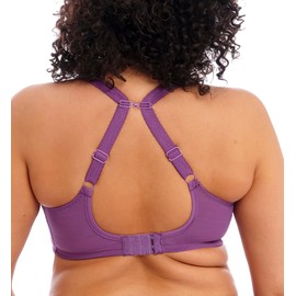 Elomi Women's Plus Size Charley Stretch Lace Underwire Plunge Bra, Pansy, 40GG