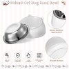 Irenare 4 Pcs Raised Cat Food Bowls Stainless Steel Tilted