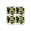 해피바스 해피바스 오리지널 컬렉션 올리브 비누 4입 Happy Bath Original Collection Olive Soap 4-Pack