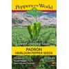 Padron Sweet Pepper Seeds - Famous Spanish Heirloom - 10